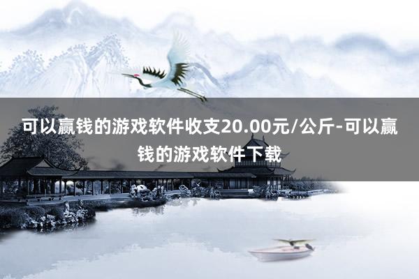 可以赢钱的游戏软件收支20.00元/公斤-可以赢钱的游戏软件下载